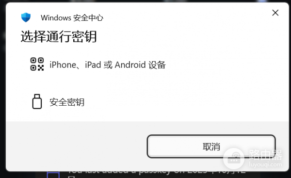 删除通行密钥后无法登录网站怎么办？windows hello验证冲突修复教程