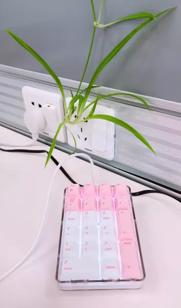 笔记本电脑贴纸(如何使用电脑贴纸)