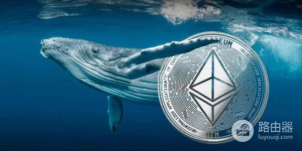 以太坊投资的长期价值?为什么以太坊是加密投资者的首选?