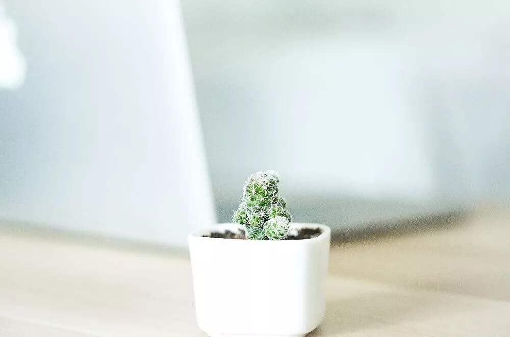 关于路由器的这些“谣言”,你信了吗?