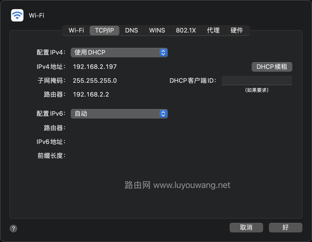 苹果电脑macOS怎么查询IP地址?